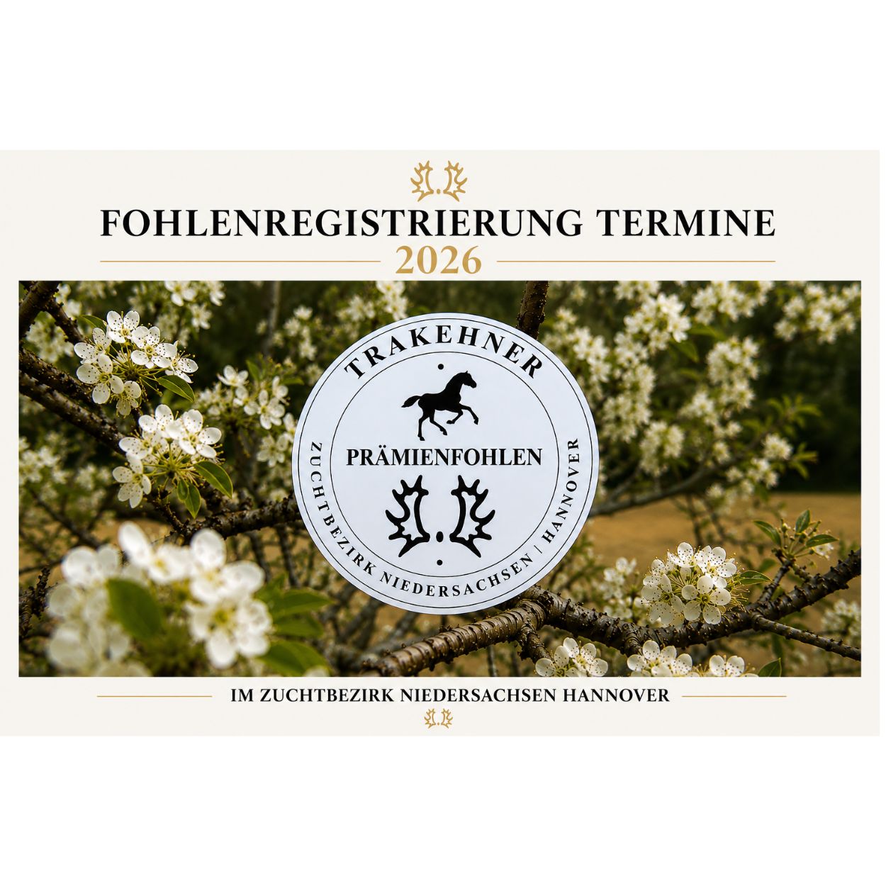 Kein Titel (Logo)